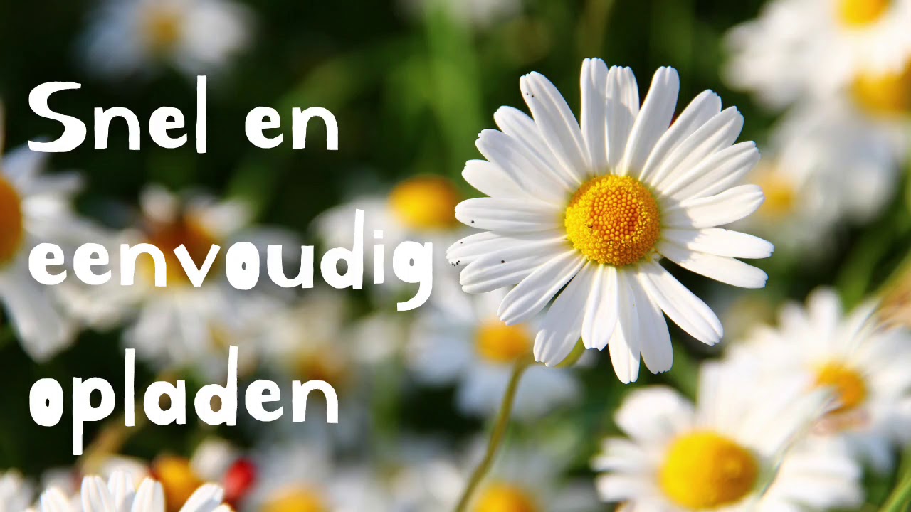 Visualisatie / geleide meditatie - Snel en eenvoudig opladen