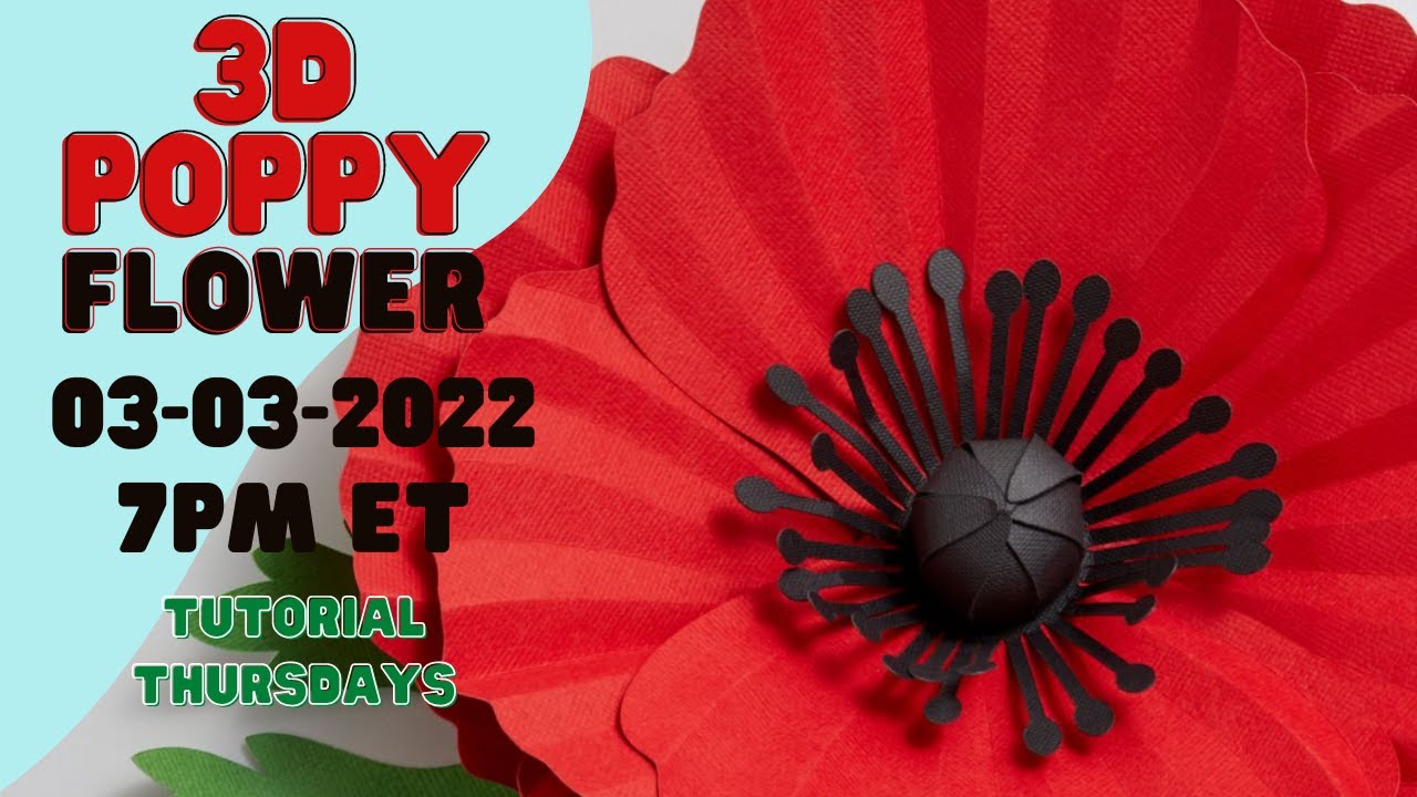 3D Poppy Flower - Customizing & Assembly