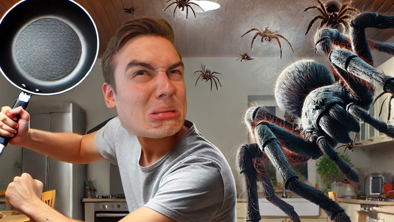 PAVOUCI vs PÁNEV 🍳🕷️