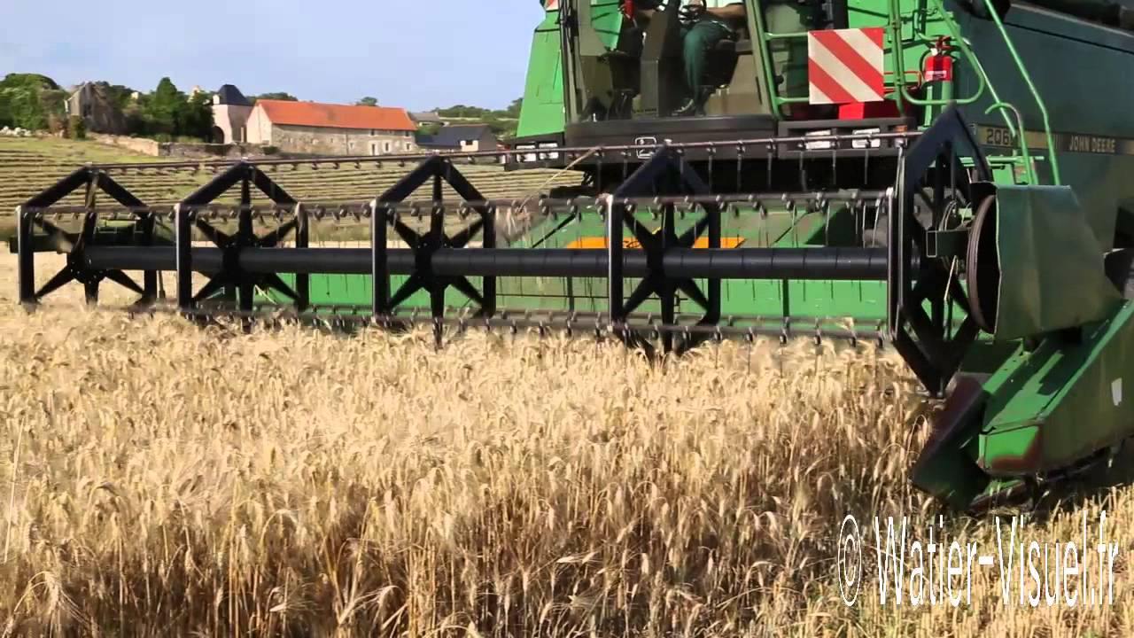 Moisson de bl&eacute; dur avec une Moissonneuse batteuse John Deere 2066