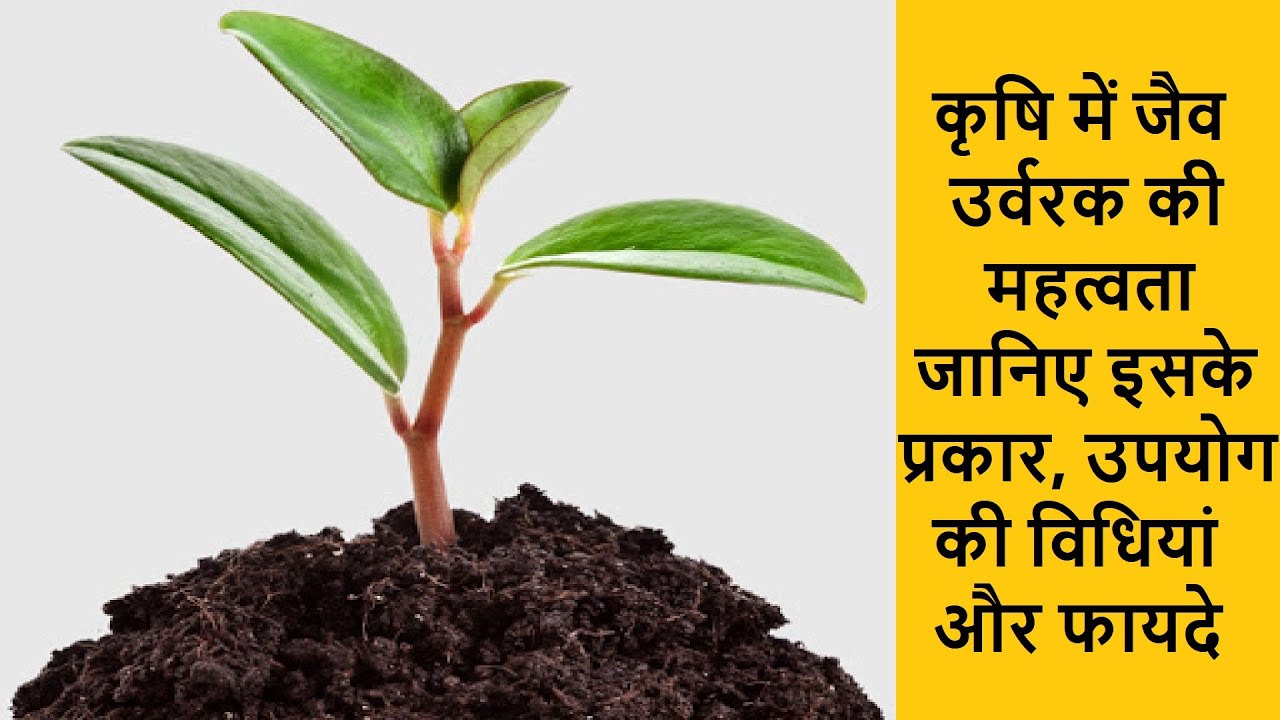 जैव उर्वरक | जैव उर्वरक बनाने की विधि | Jaiv urvarak | Biofertilizer | Organic fertilizers in hindi