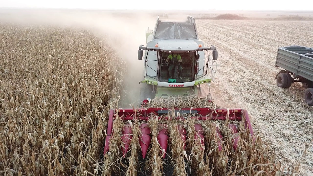 Corn Harvest with Claas Lexion 760 Terra Trac/Steyr 4110 Profi CVT