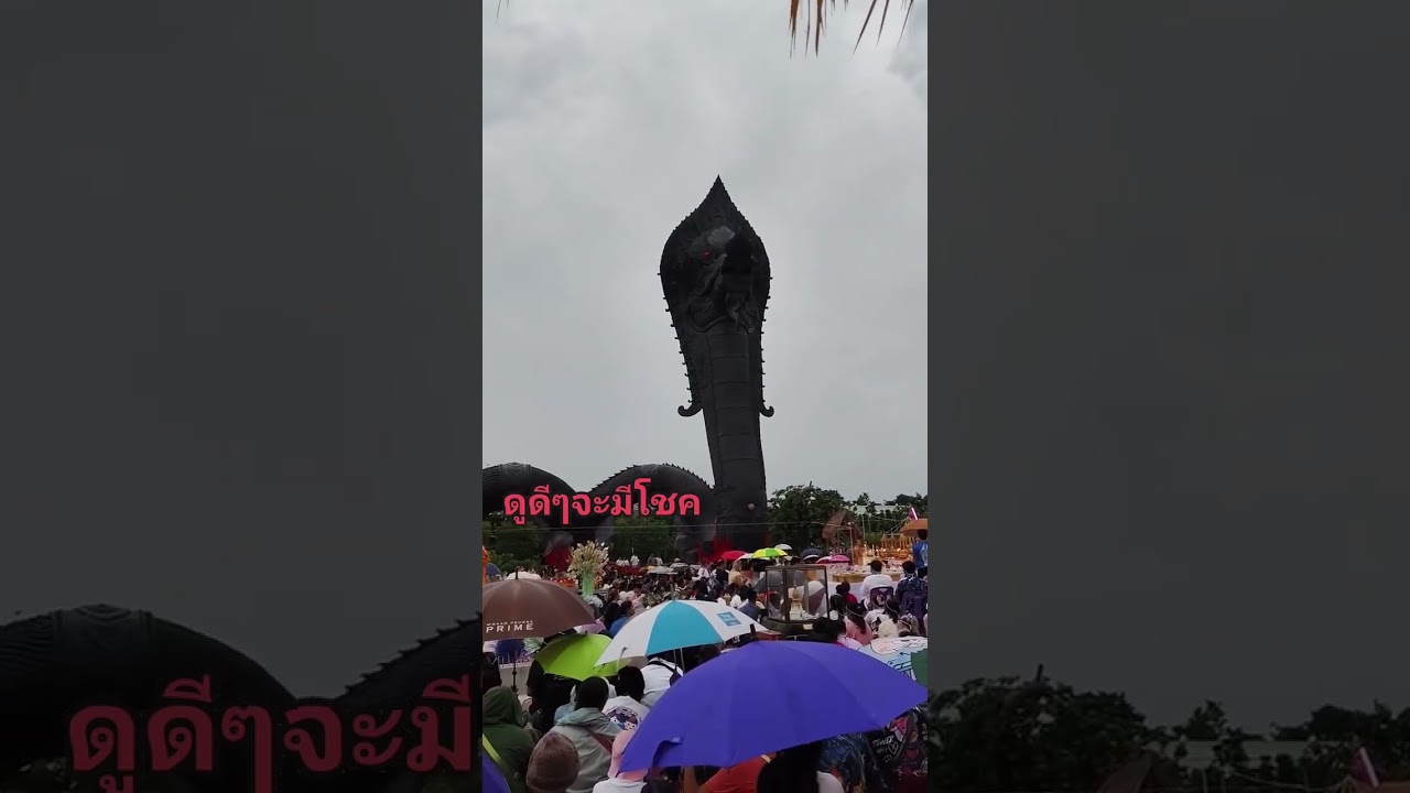 เลขเด็ดวันนี้ 