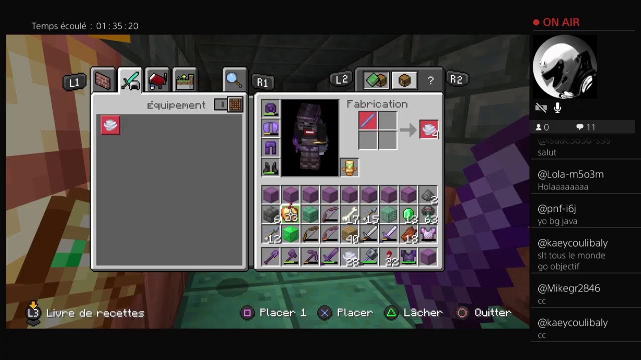 Minecraft objectif:All ornement