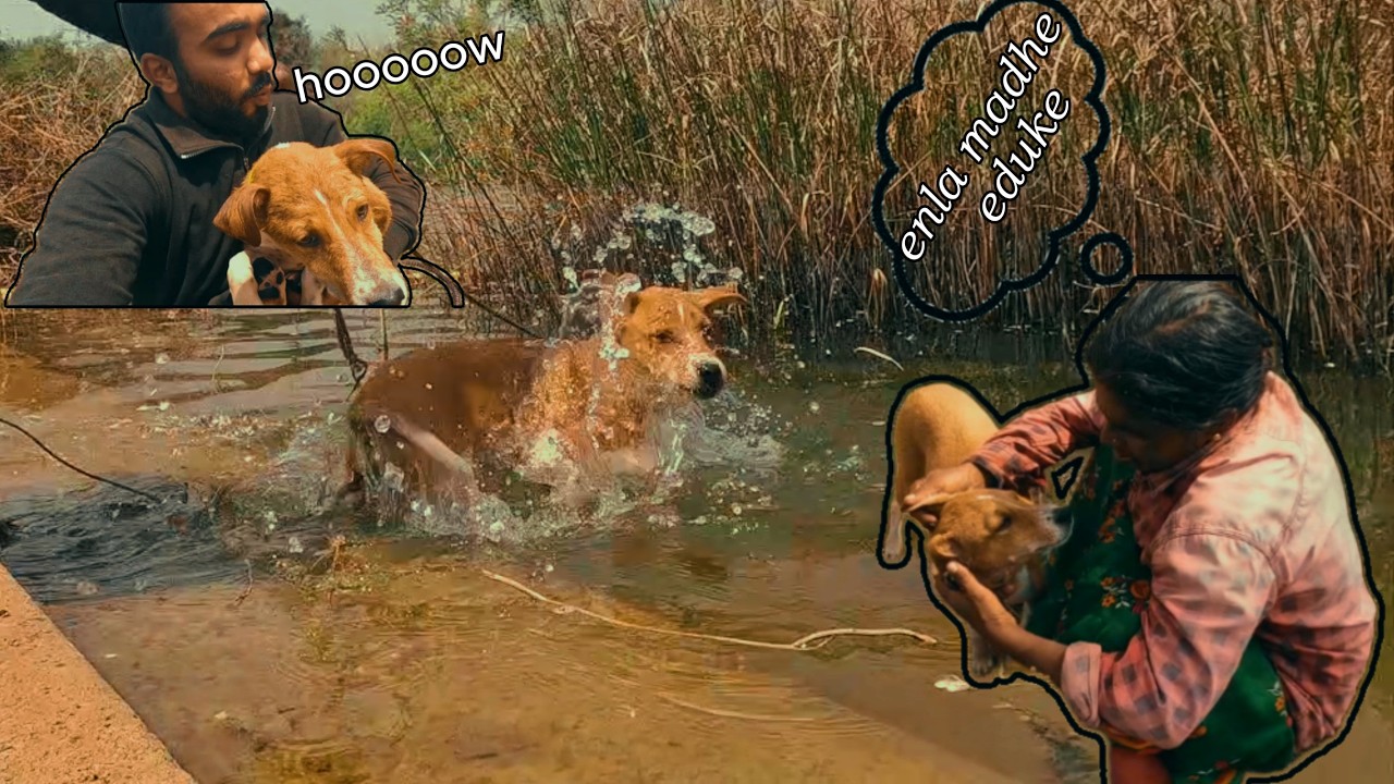 A day for washing my gimmy🐕