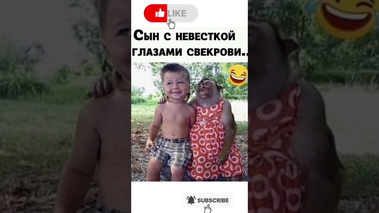 #смех #анекдоты #приколы
