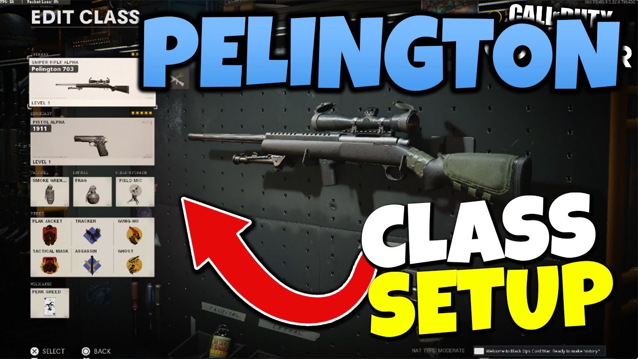 Best Quickscoping Class In COD Cold War (Pelington 703 Class Setup)