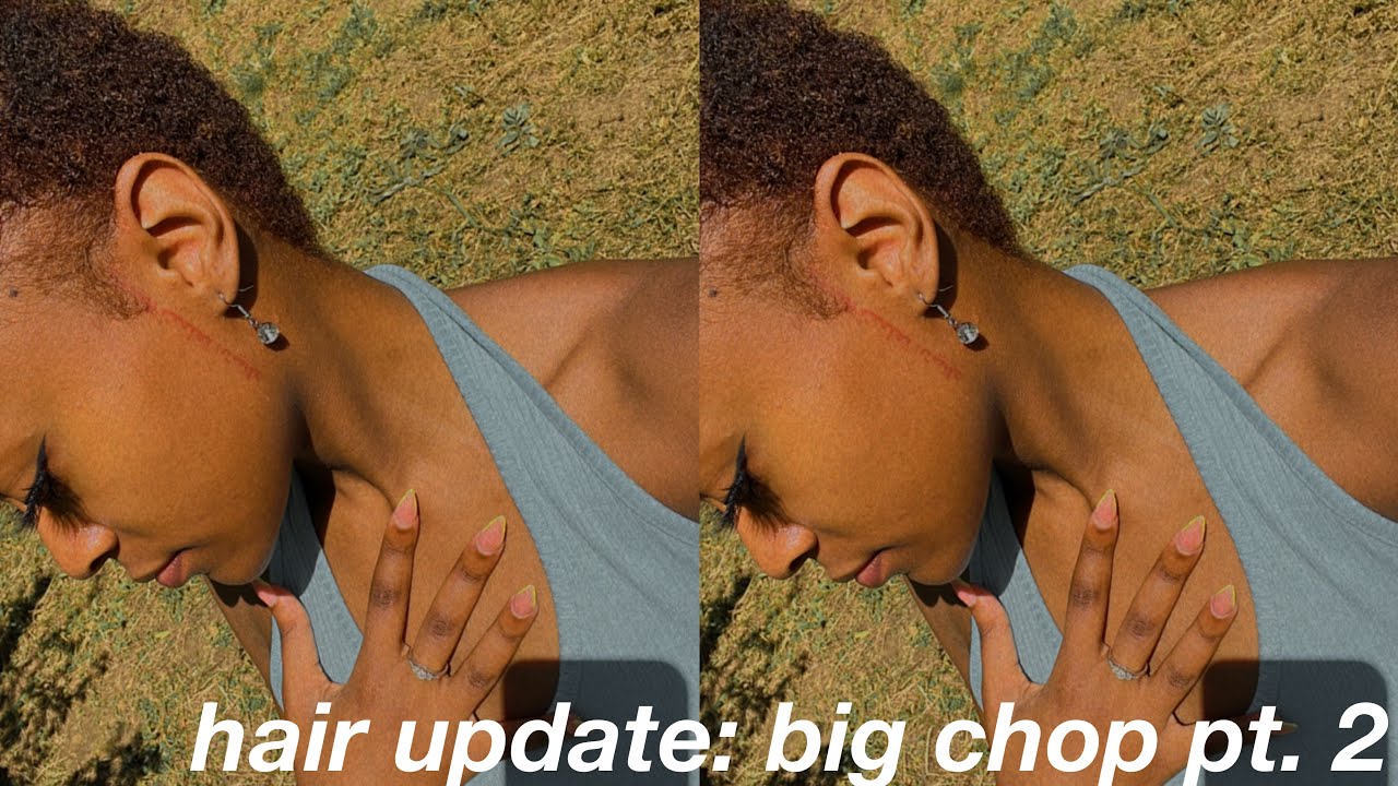 hair update: big chop pt. 2, hair growth, etc | LidiNykole