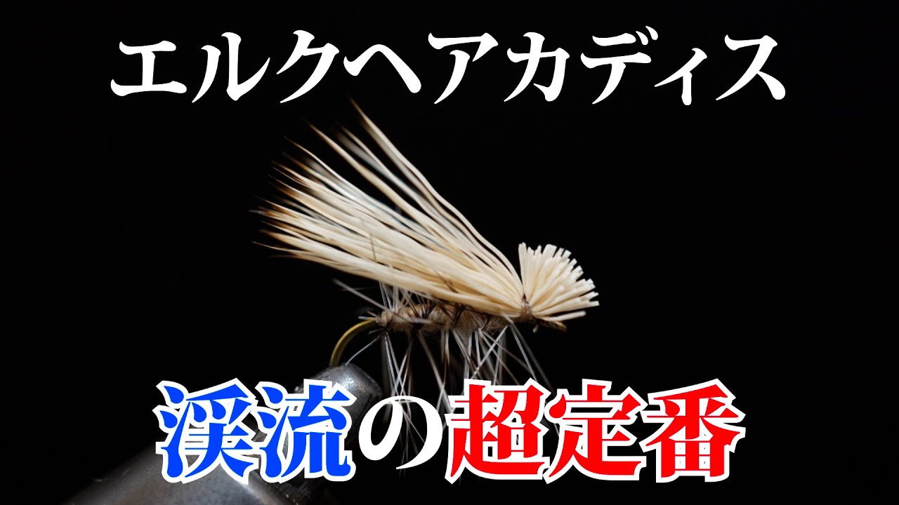 【高橋章】渓流フライの超定番「エルクヘアカディス」を巻く【タイイング】#フライフィッシング #タイイング #エルクヘアカディス