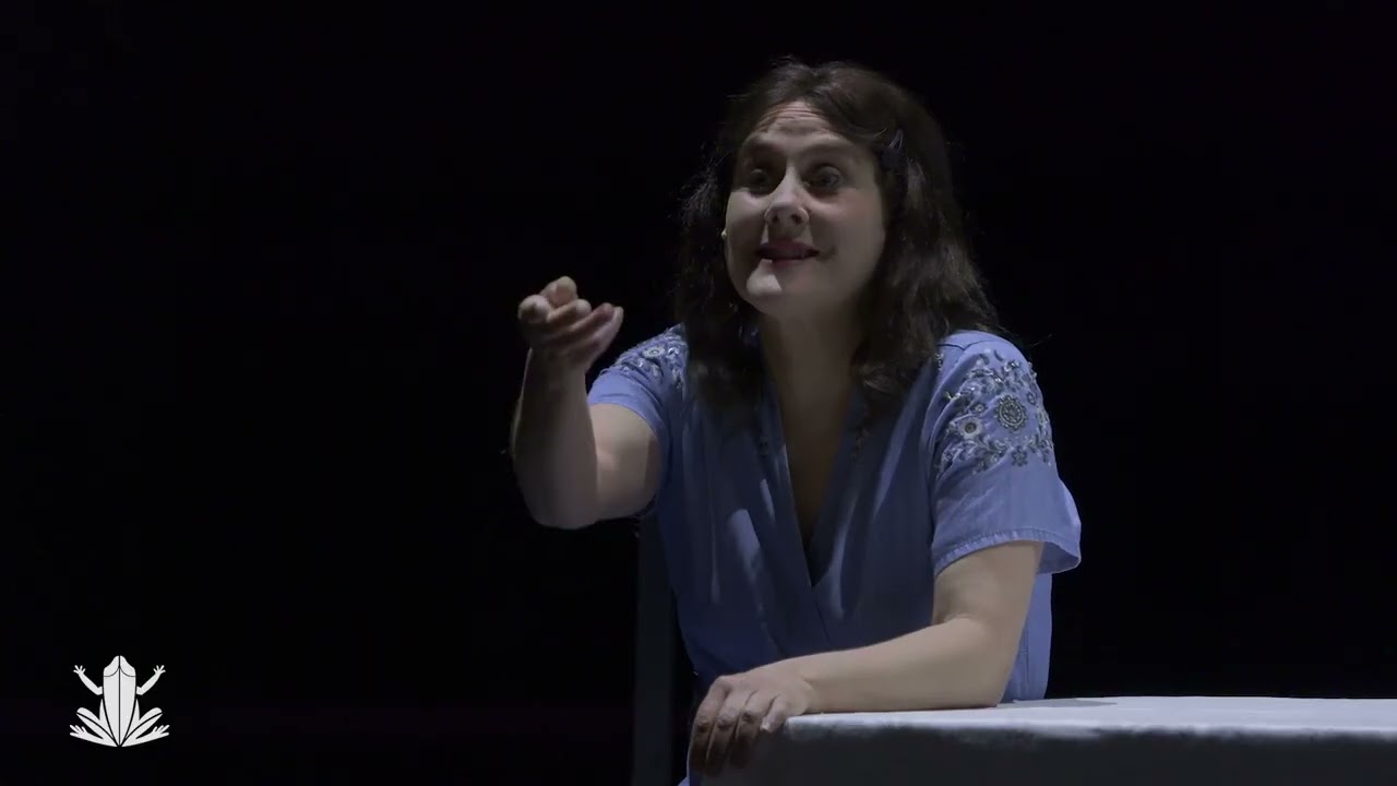 La réunification des deux Corées - Extrait