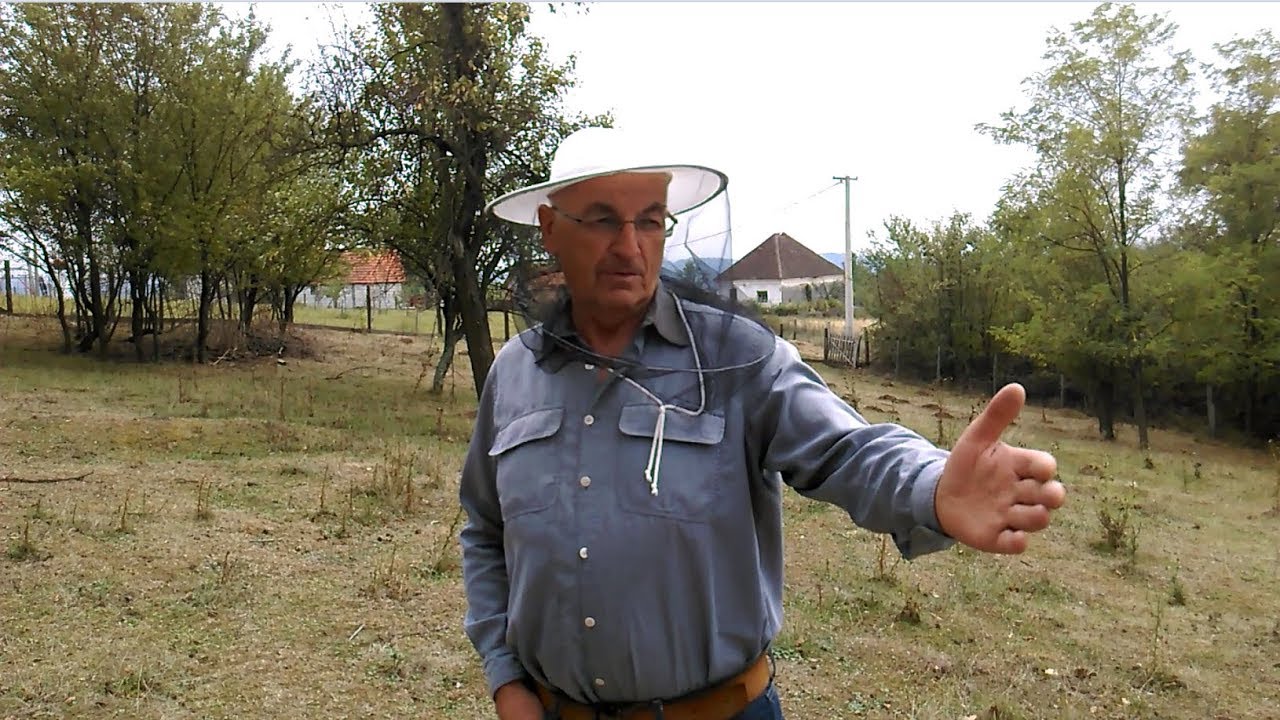 Profesor Djoko Zečević, Obeležavanje matica.