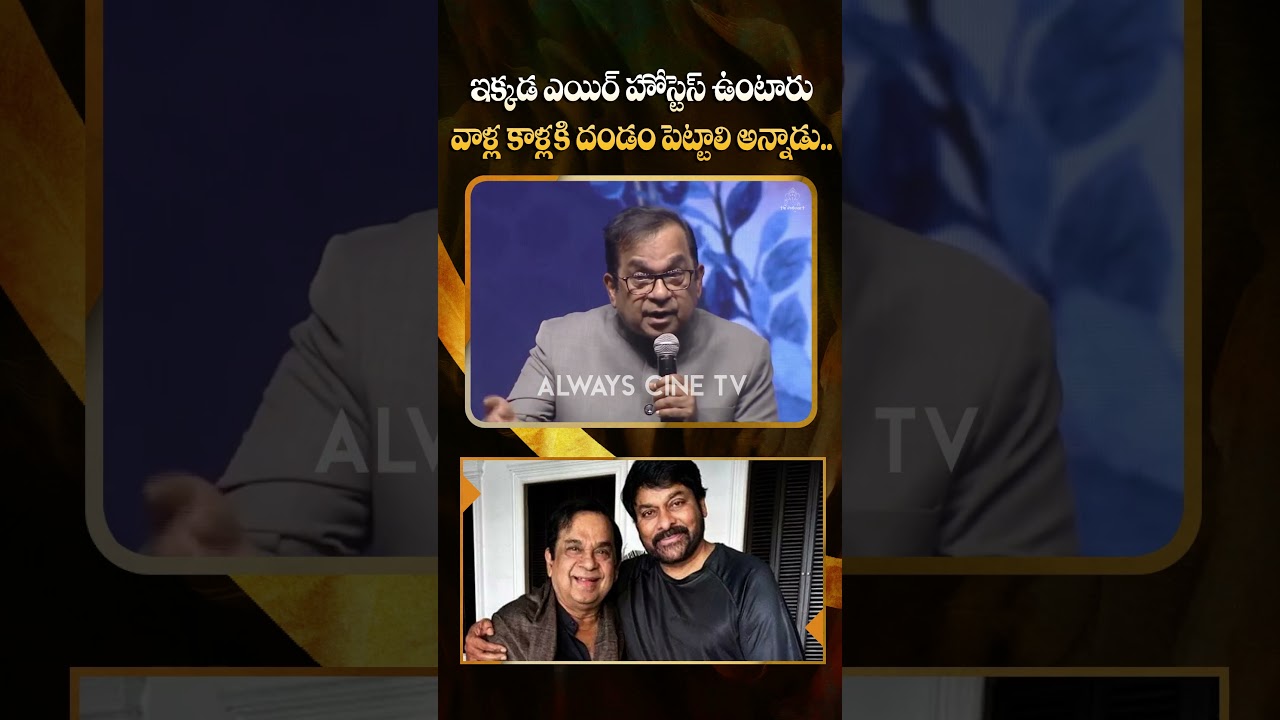 ఇక్కడ ఎయిర్ హోస్టెస్ ఉంటారు Brahmanandam SUPERB Funny Comments on Chiranjeevi | AC