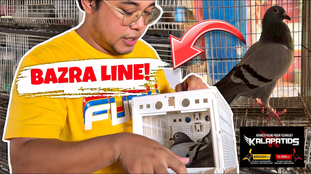 BAGONG KALAPATI KO, MAMAHALIN PA GALING PA SA IDOL KO