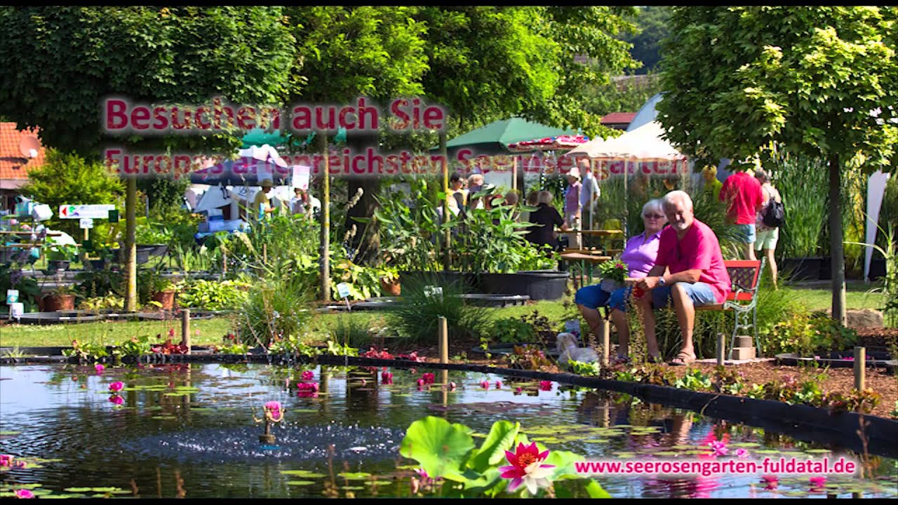 Vorstellungsclip: Deutscher Seerosengarten Fuldatal