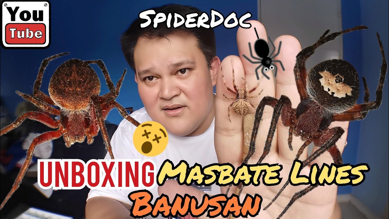 UNBOXING MASBATE LINES. What to EXPECT sa Banusan?
