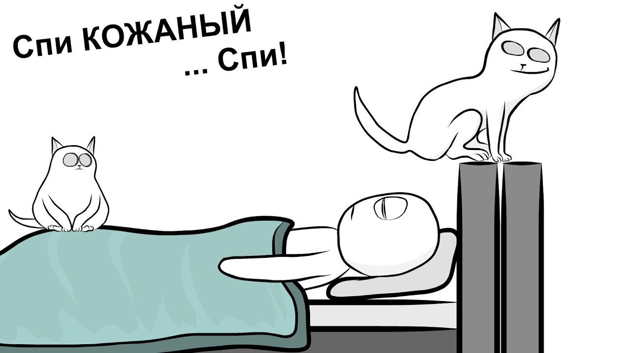 Мои Домашние Питомцы (анимация)