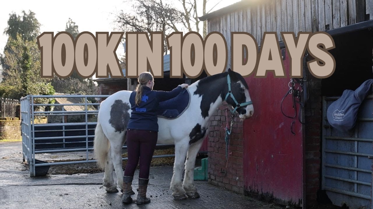 From 0 To 100,000 In 100 Days (How I Film My Viral Videos) | Lilscliffe