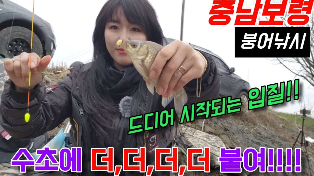 역시 정답은 수초인가봅니다!!💜 2월에 활성도가 미친 저수지를 찾았어요!!!!!!🤪#충남보령 #붕어낚시#붕어#여조사#저수지낚시#노지낚시 #낚시#충남낚시#무전무패골드#민물낚시#소류지