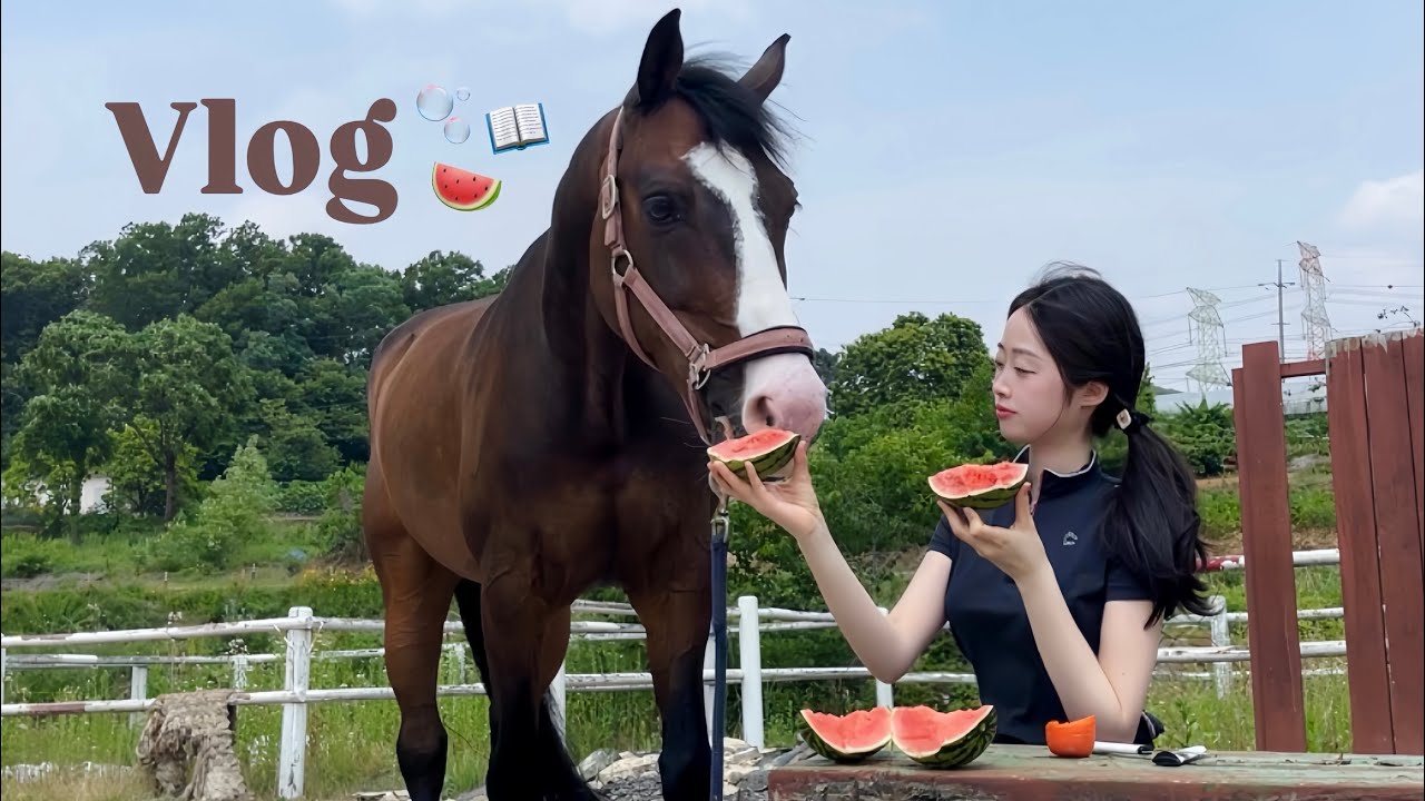 말이랑 노는 게 일상인 브이로그॰˳ཻ̊♡ | 요즘 꽂힌 비건식빵과 미니텃밭🪴 | 영어공부🔡