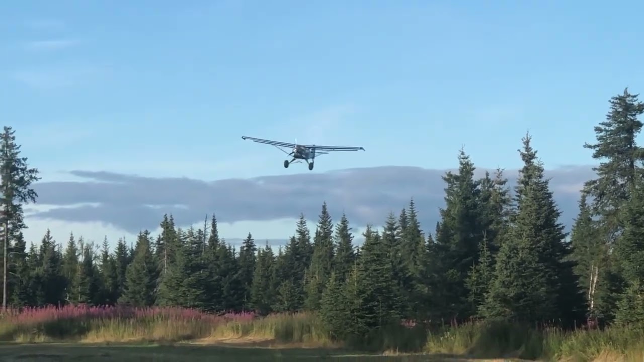 How to land a Kitfox