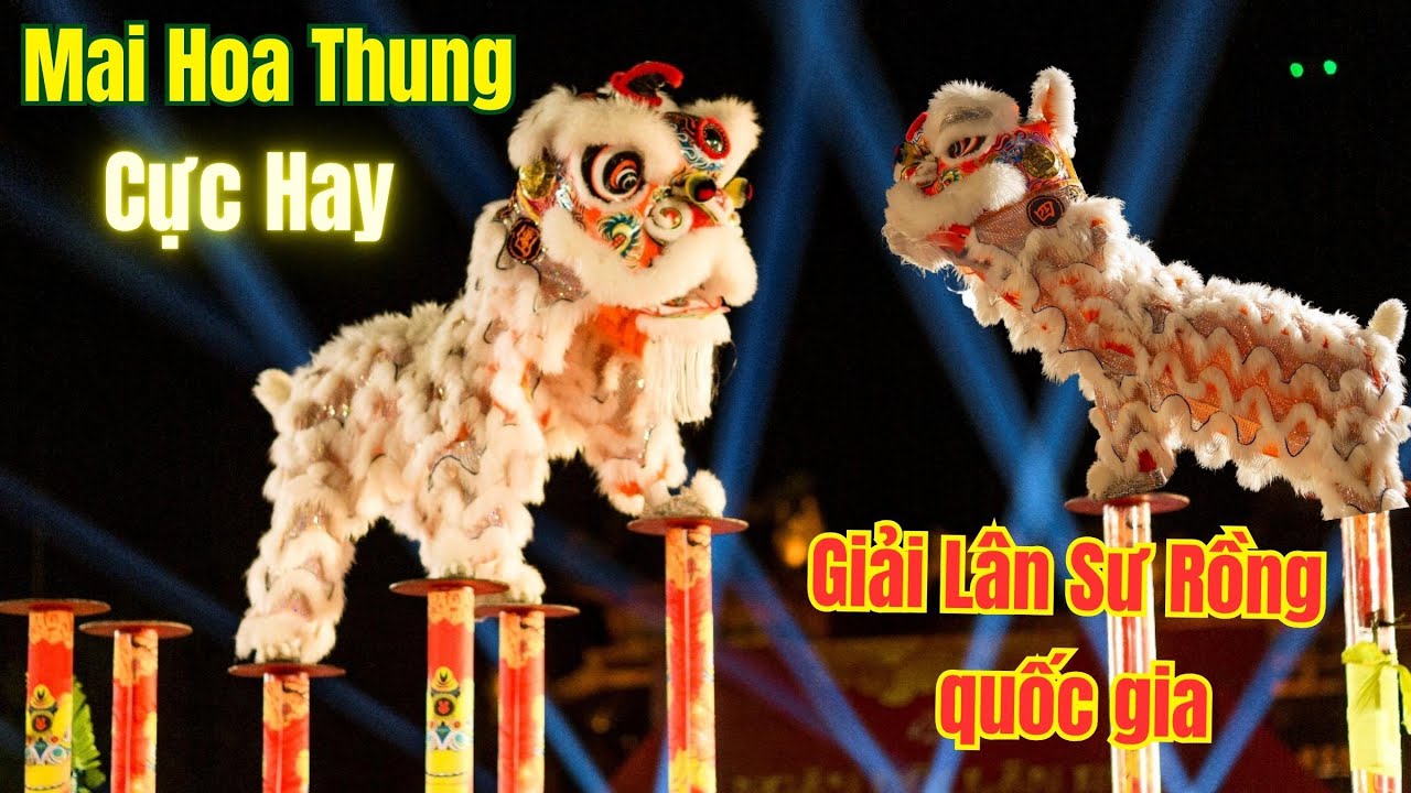 Múa Lân Cực Hay 2024 - Mai Hoa Thung -  Giải Lân Sư Rồng quốc gia tại Bình Thuận ❤️  Phan Thiết Phố