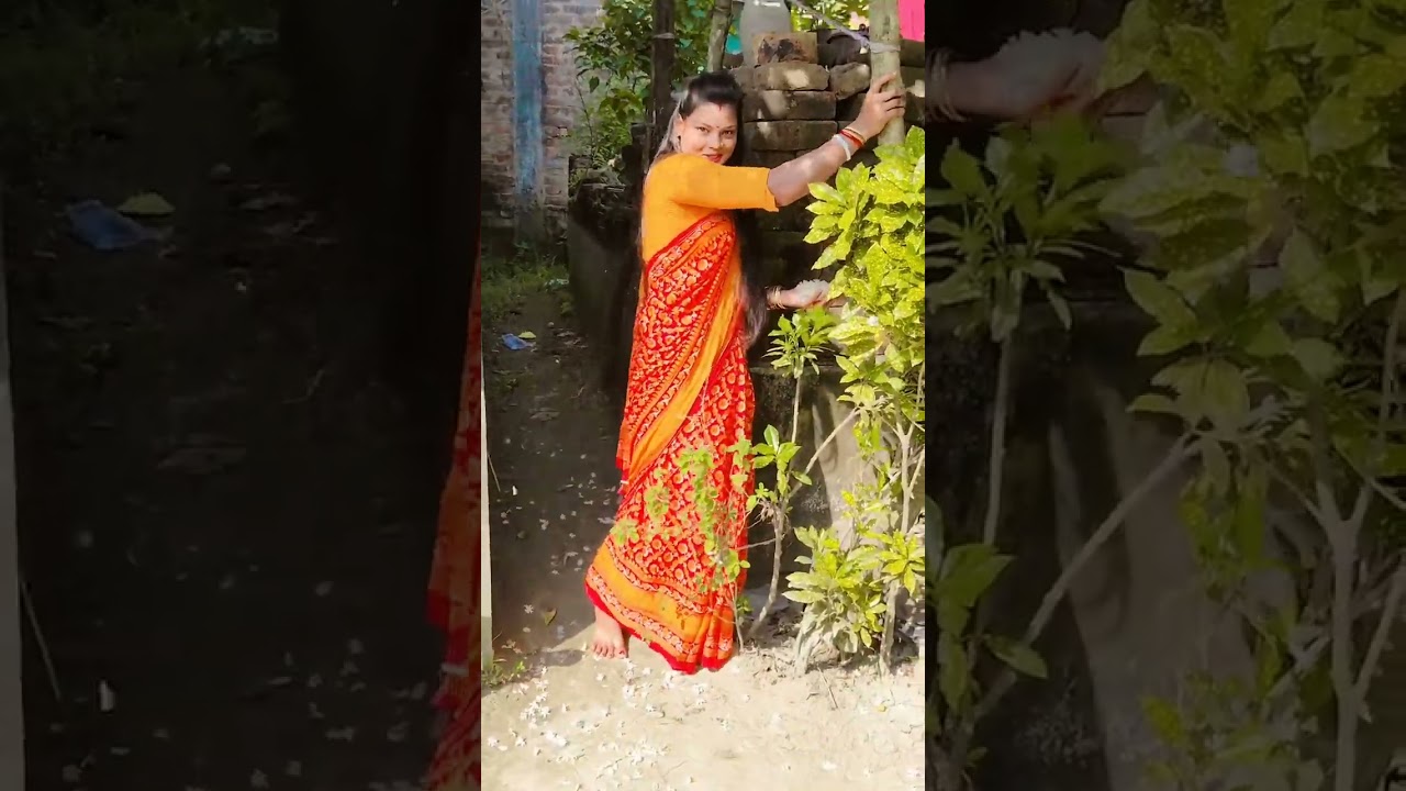 কাদের কাদের বাড়িতে শিউলি ফুল গাছ আছে