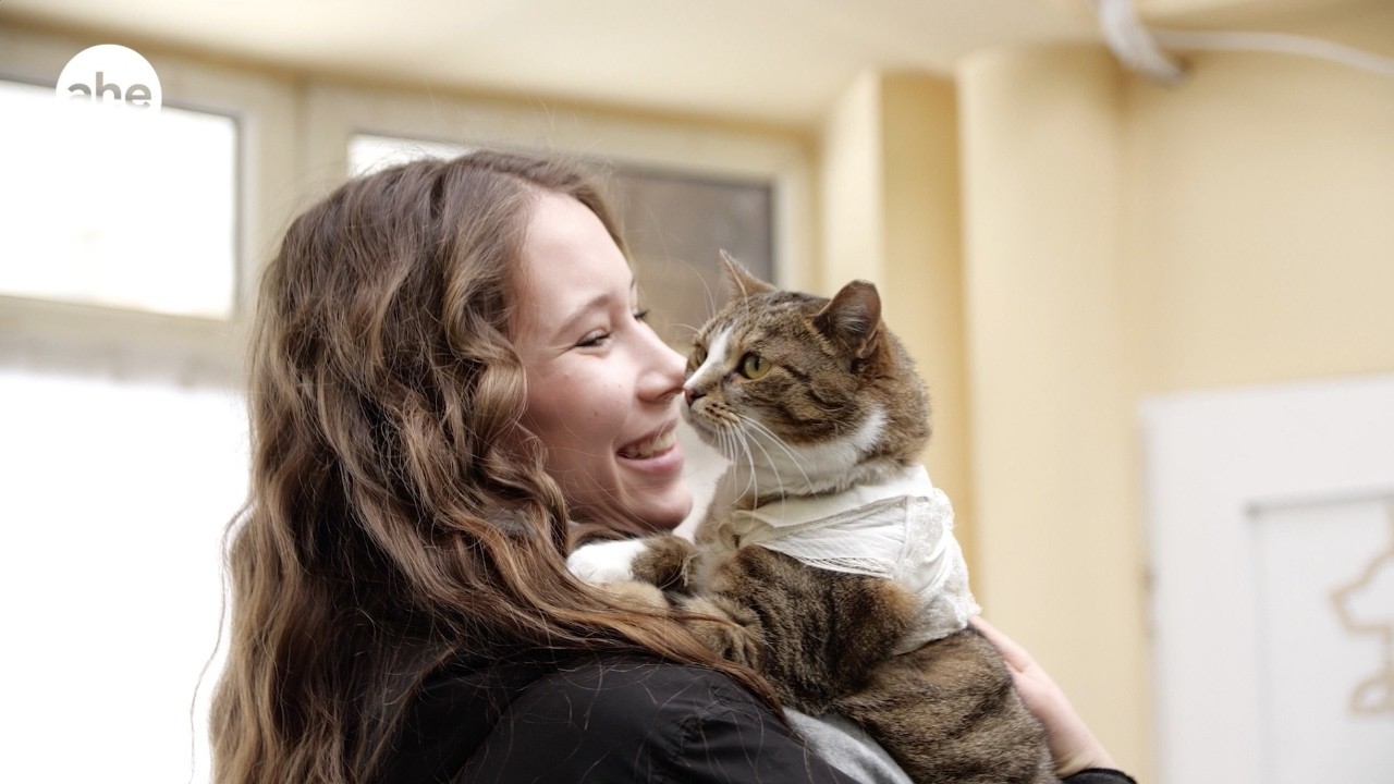 Dzień kota w Akademii Humanistyczno-Ekonomicznej w Łodzi #adoptuj #kota