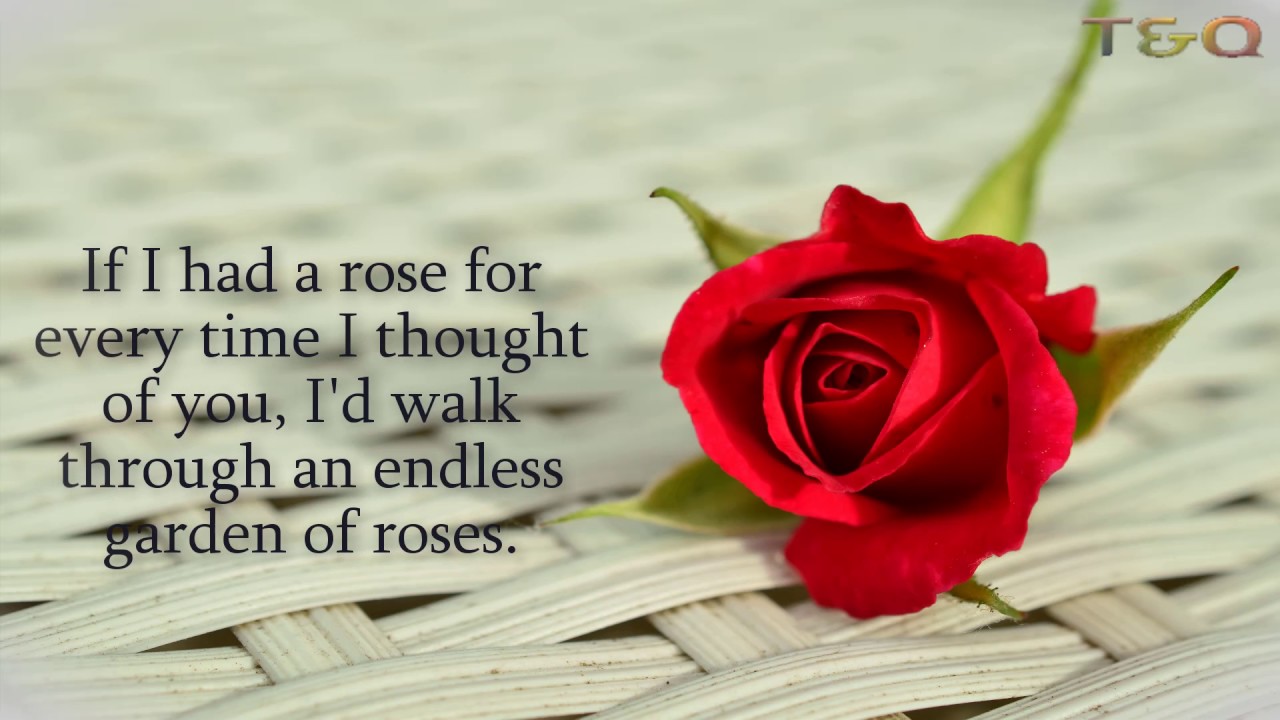 Love Quotes for Her | PureLoveQuotes