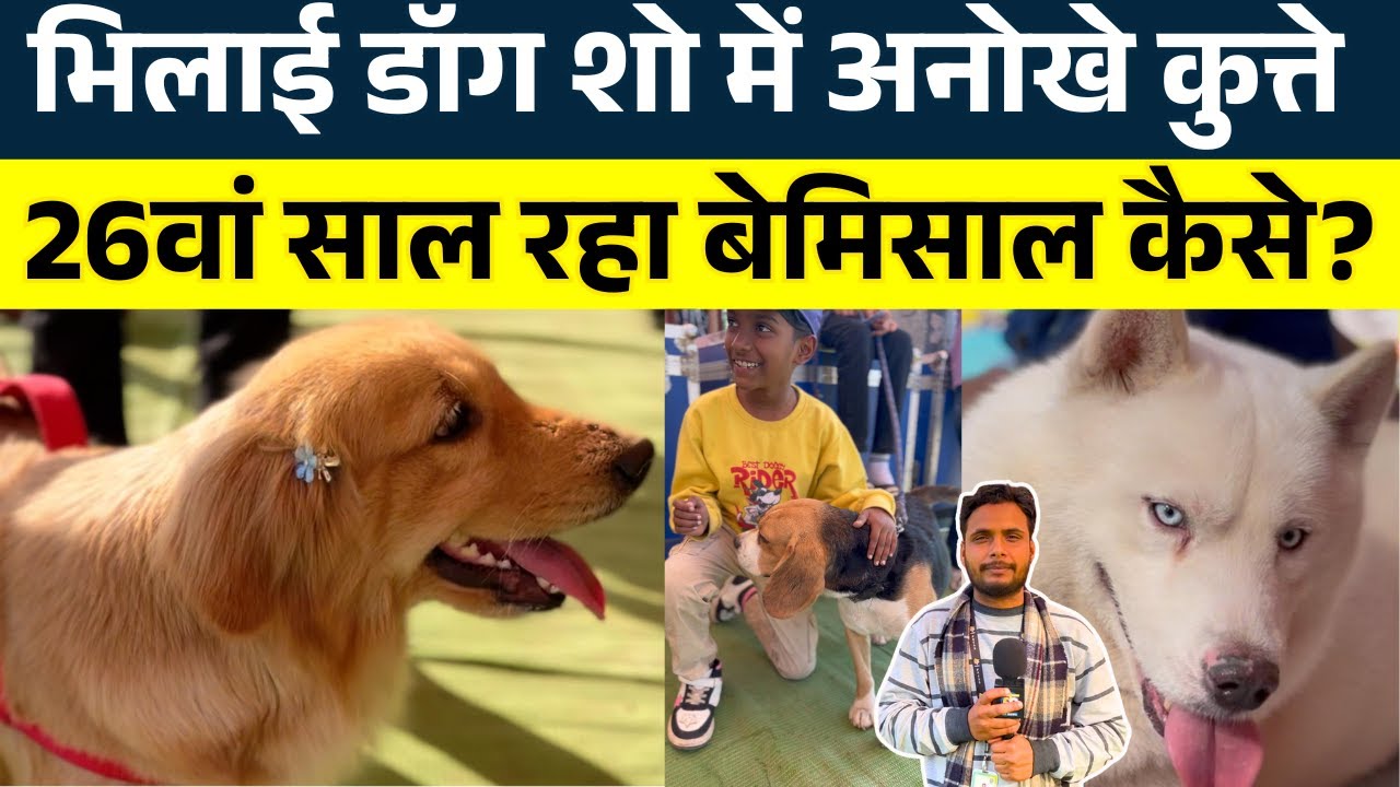 भिलाई डॉग शो में अनोखे कुत्ते 26वां साल रहा बेमिसाल कैसे? || KP NEWS | Faizan Khan