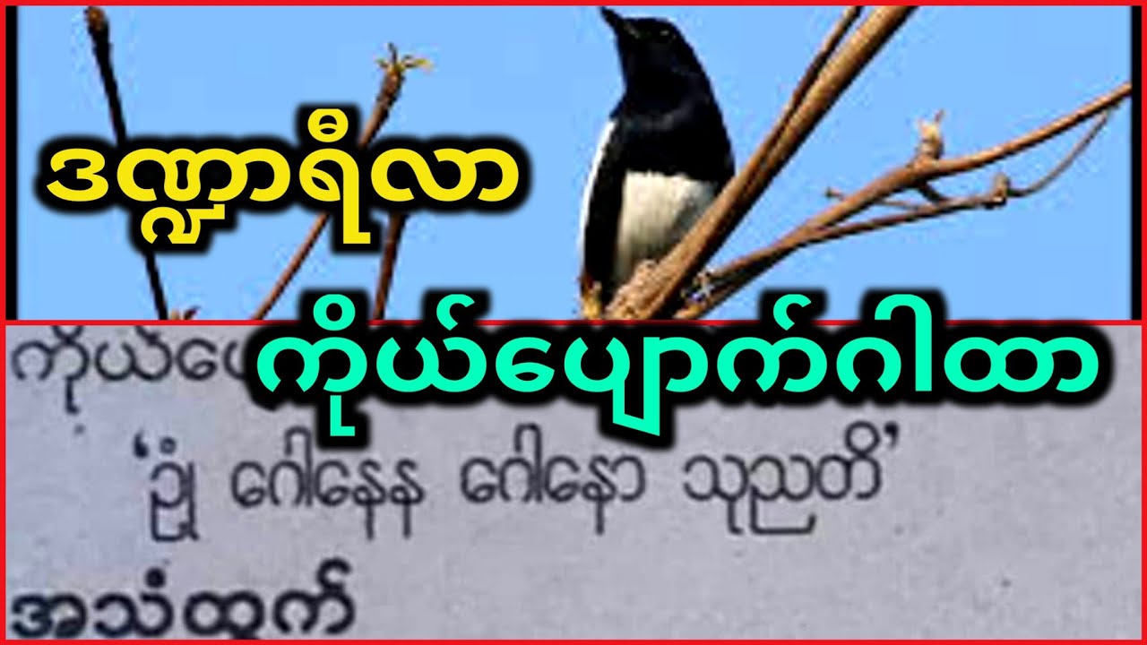 နွားမသားဝှက်ဂါထာနှင့်သပိတ်လွယ်ဌက်ကိုယ်ပျောက်အစီအရင်