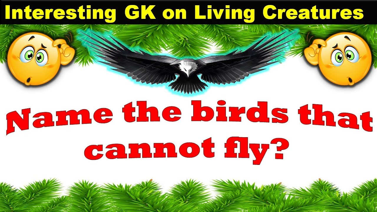 interesting gk on animals & birds | living creature gk | gk questions on animals and birds