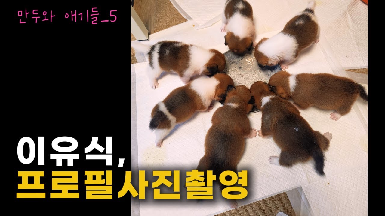 [임보일기5] 이름을 불러주면 작별이 더 어려워질까?