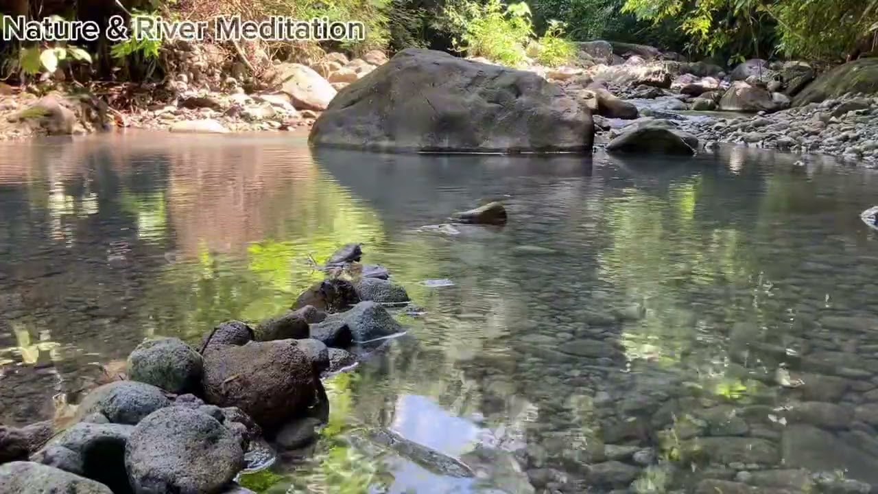 The sound of nature and the splashing of the river send you a deep sleep 🧘‍♂️🎧🌧️