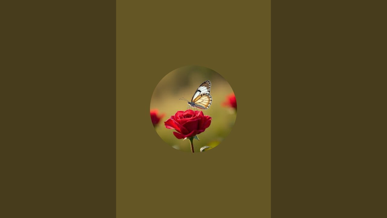 ⭐Sayon Ray⭐ is live! :- Night' Live has started