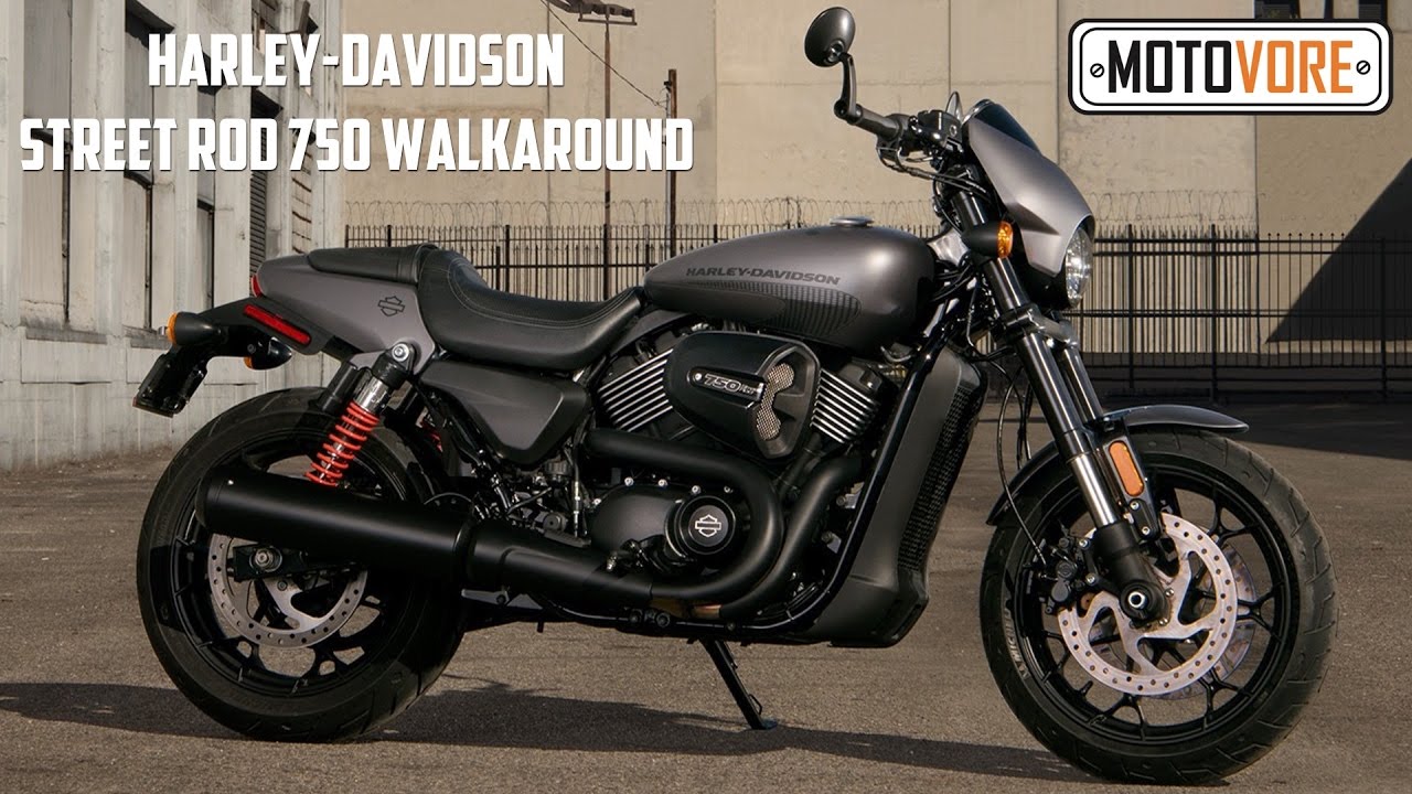 Harley-Davidson Street Rod 750 vs Street 750 walkaround
