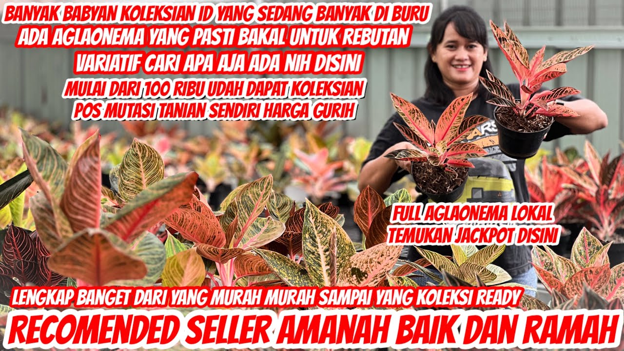 GEBRAKAN STOK BARU SEMUA DI NOVIA GARDEN‼️BANYAK JACKPOTAN DISINI‼️