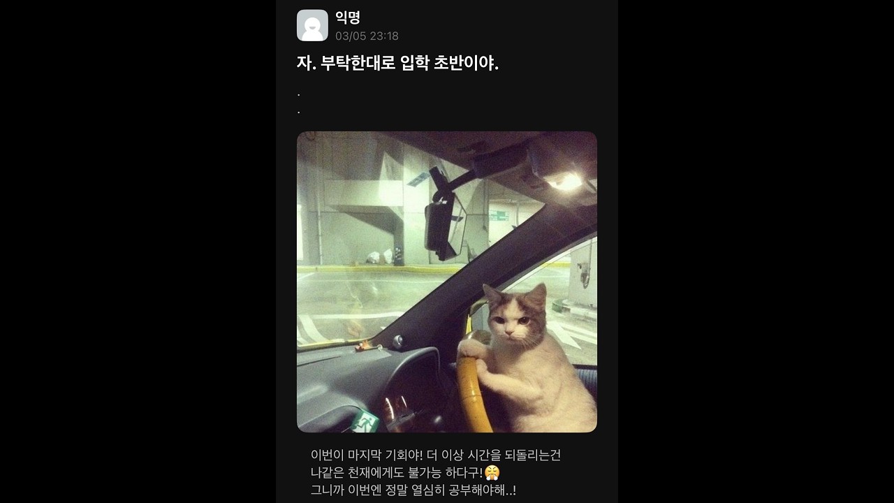 1학년은 놀아도 된다는데요