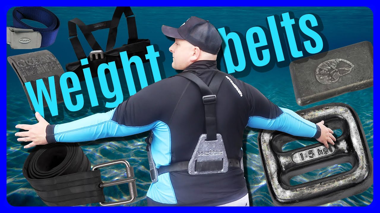 Ultimate guide to weight belts for spearfishing and freediving