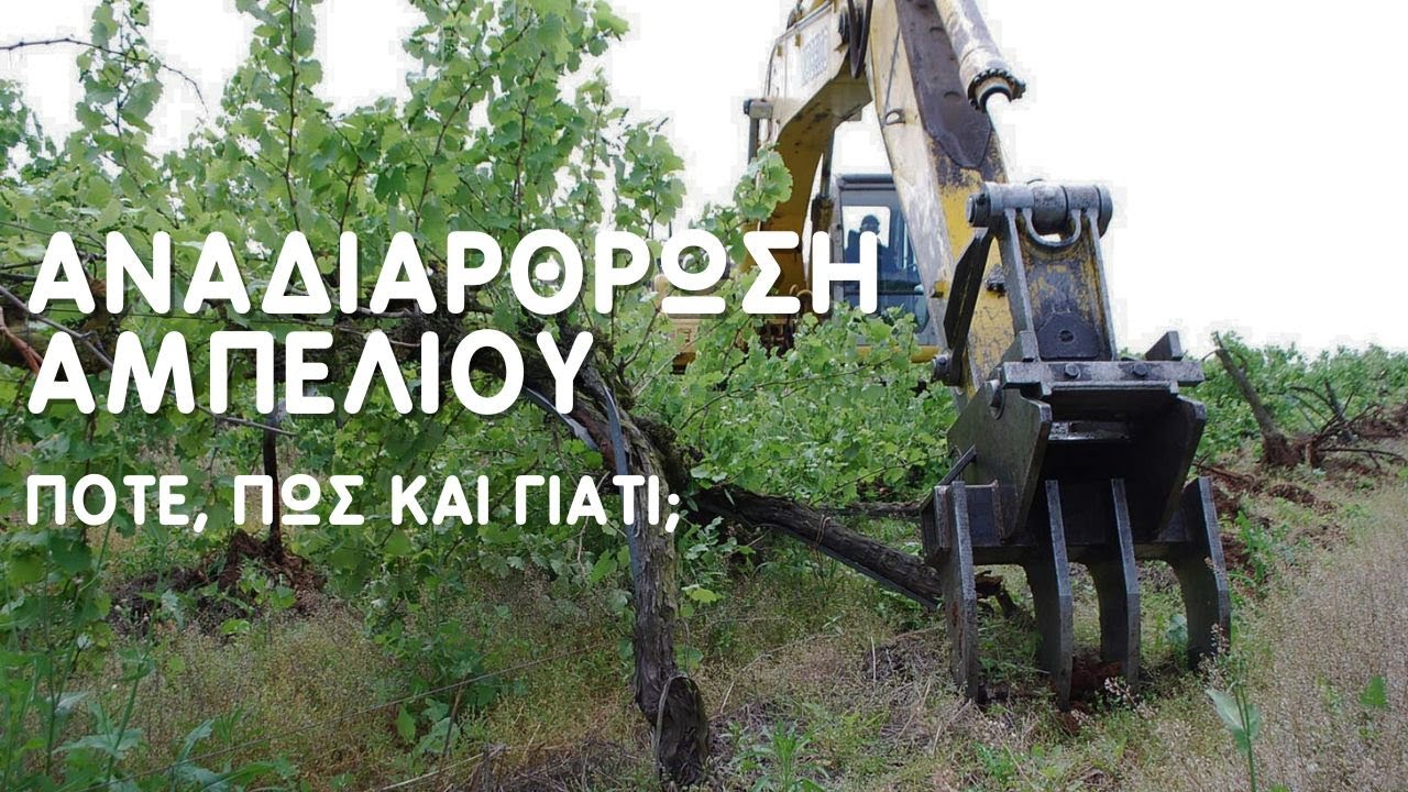 Αναδιάρθρωση Αμπελιού - Πότε, Πως Και ΓΙΑΤΙ;