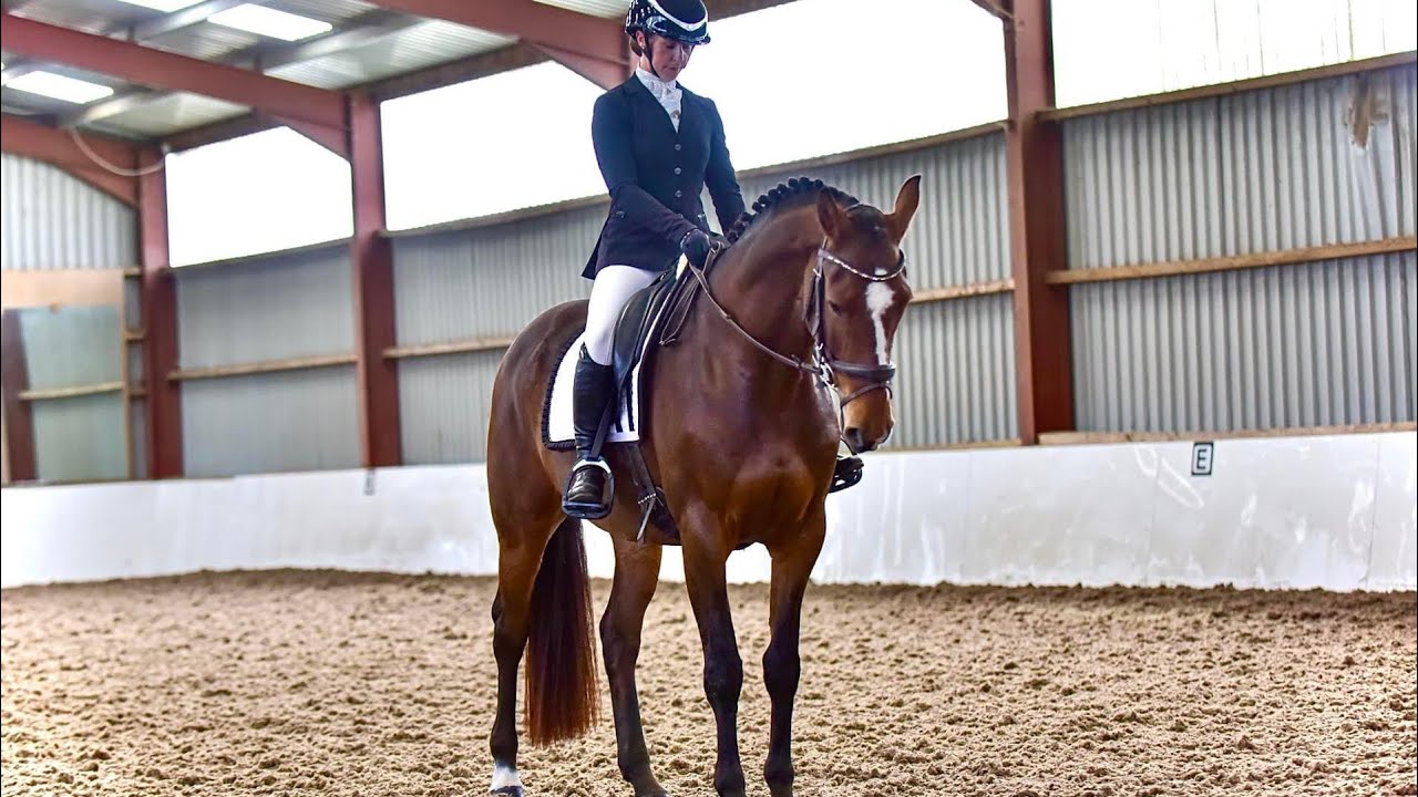 Rinette P - Prelim 7 Dressage Test