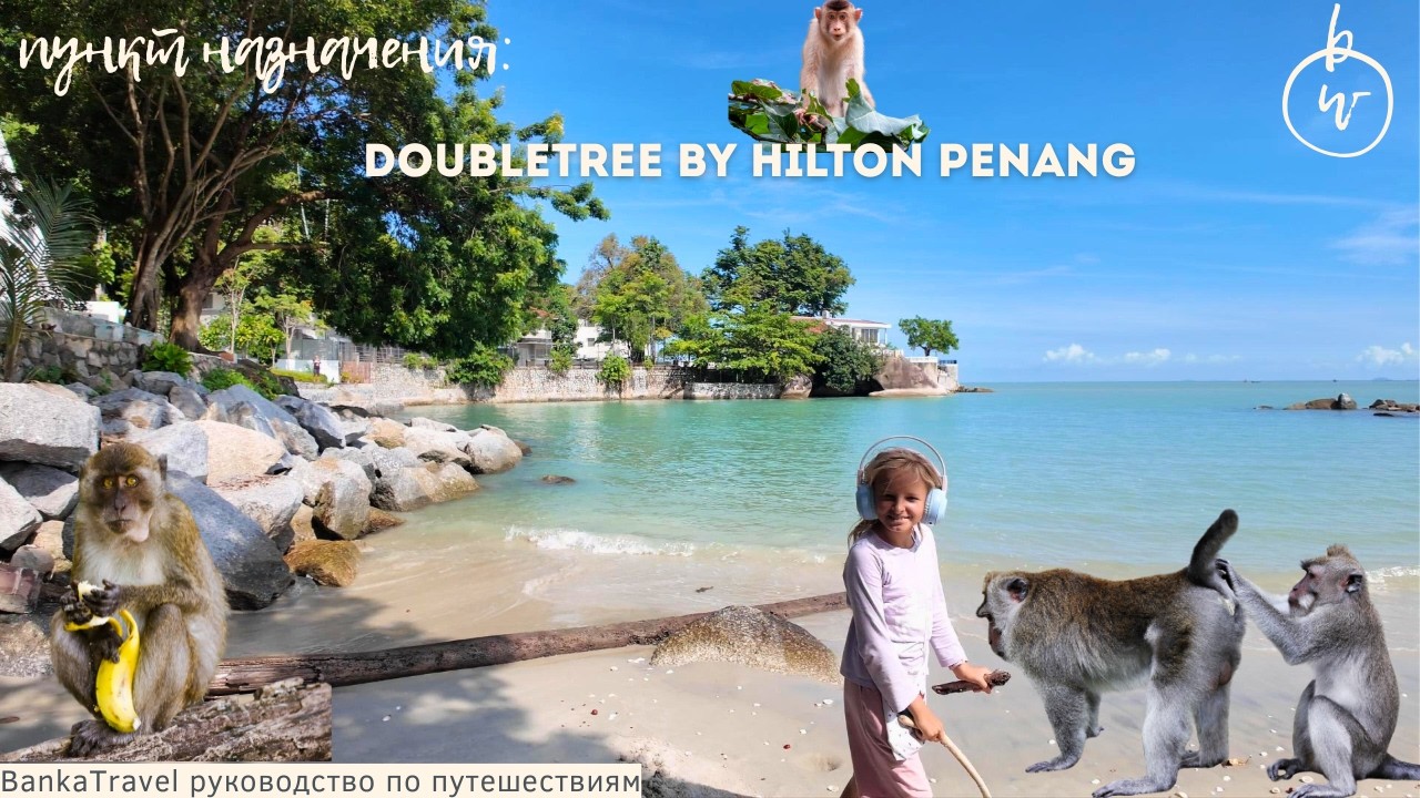 Пенанг вместо Таиланда? DoubleTree by Hilton Penang Malaysia обзор отеля