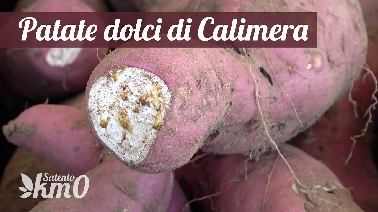 La batata di Calimera