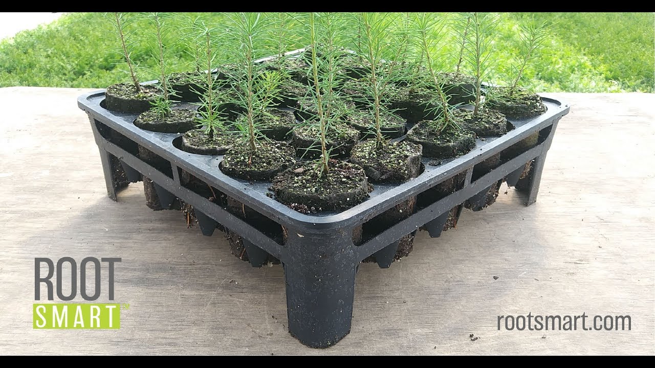 RootSmart&trade;  - Healthier Trees, Rooted in Science
