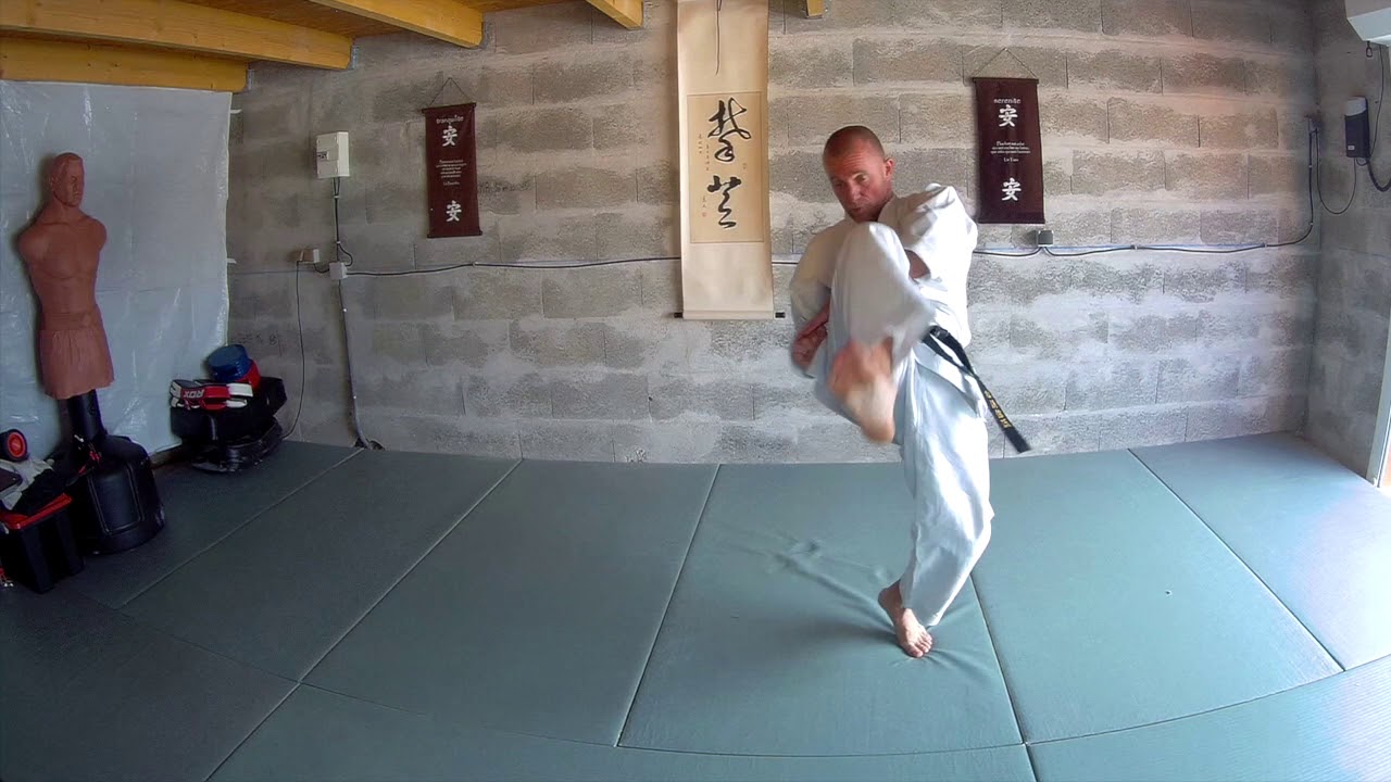 Techniques ceinture verte Partie 2
