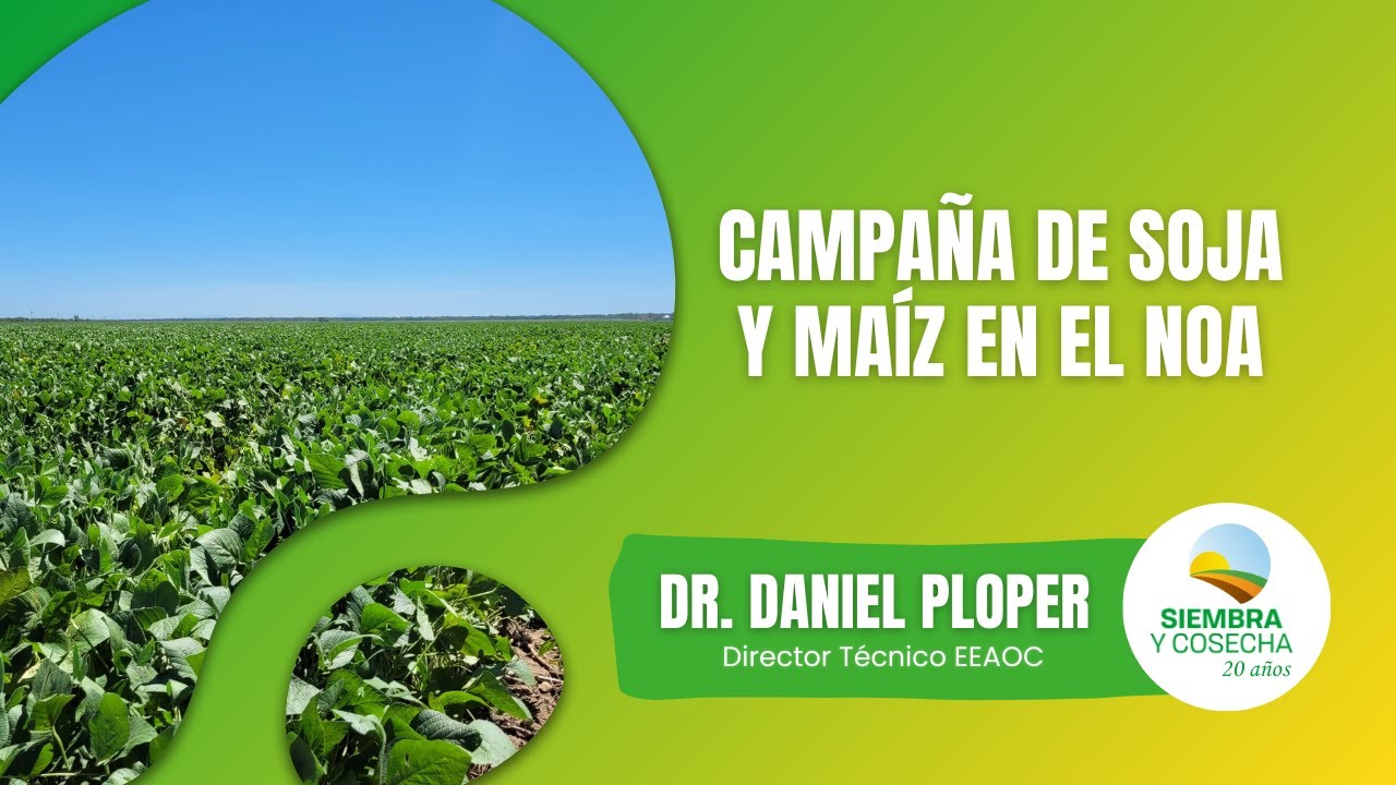 SIEMBRA Y COSECHA TV: Campaña de soja y maíz en el NOA