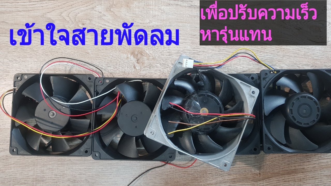 2 wire  3 wire  4 wire  DC  Fan  เข้าใจสายพัดลม  2 สาย  3 สาย  4สาย  3  PIN  4  PIN   Cooling fan