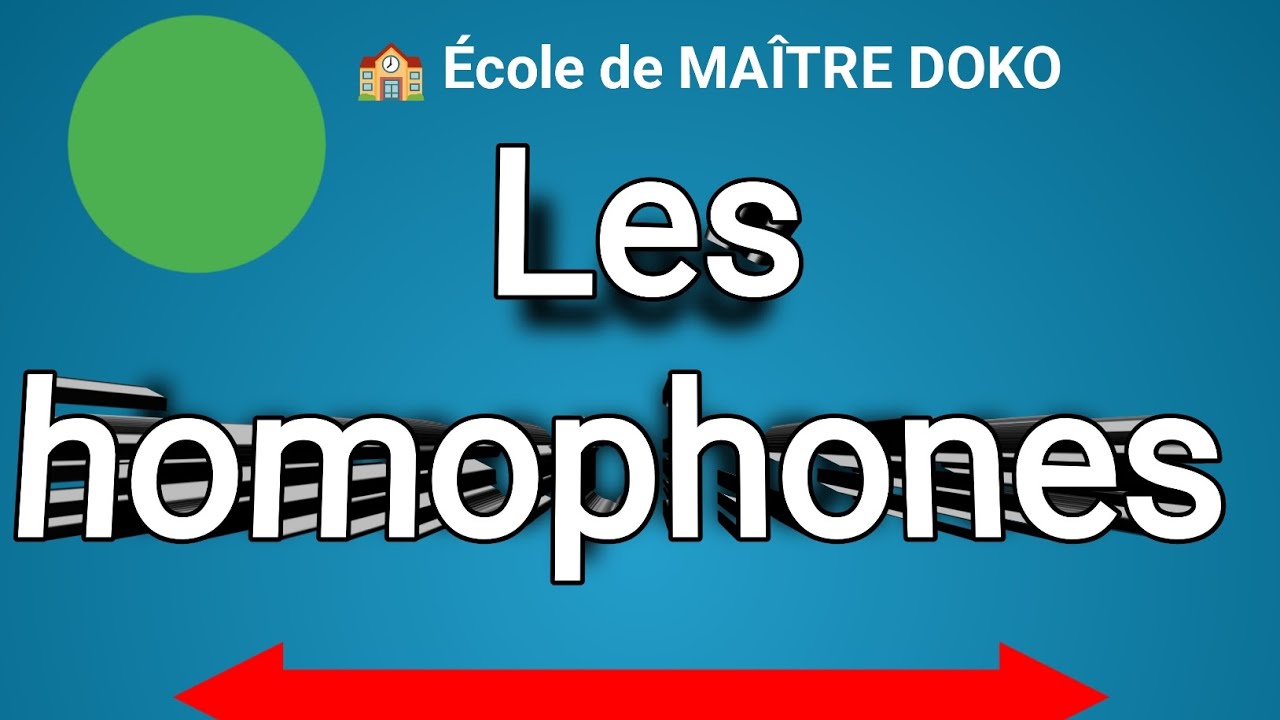 Les homophones MAÎTRE DOKO 