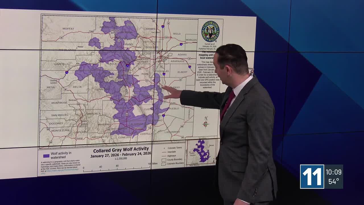 New gray wolf map shows wolf activity in southern Colorado
