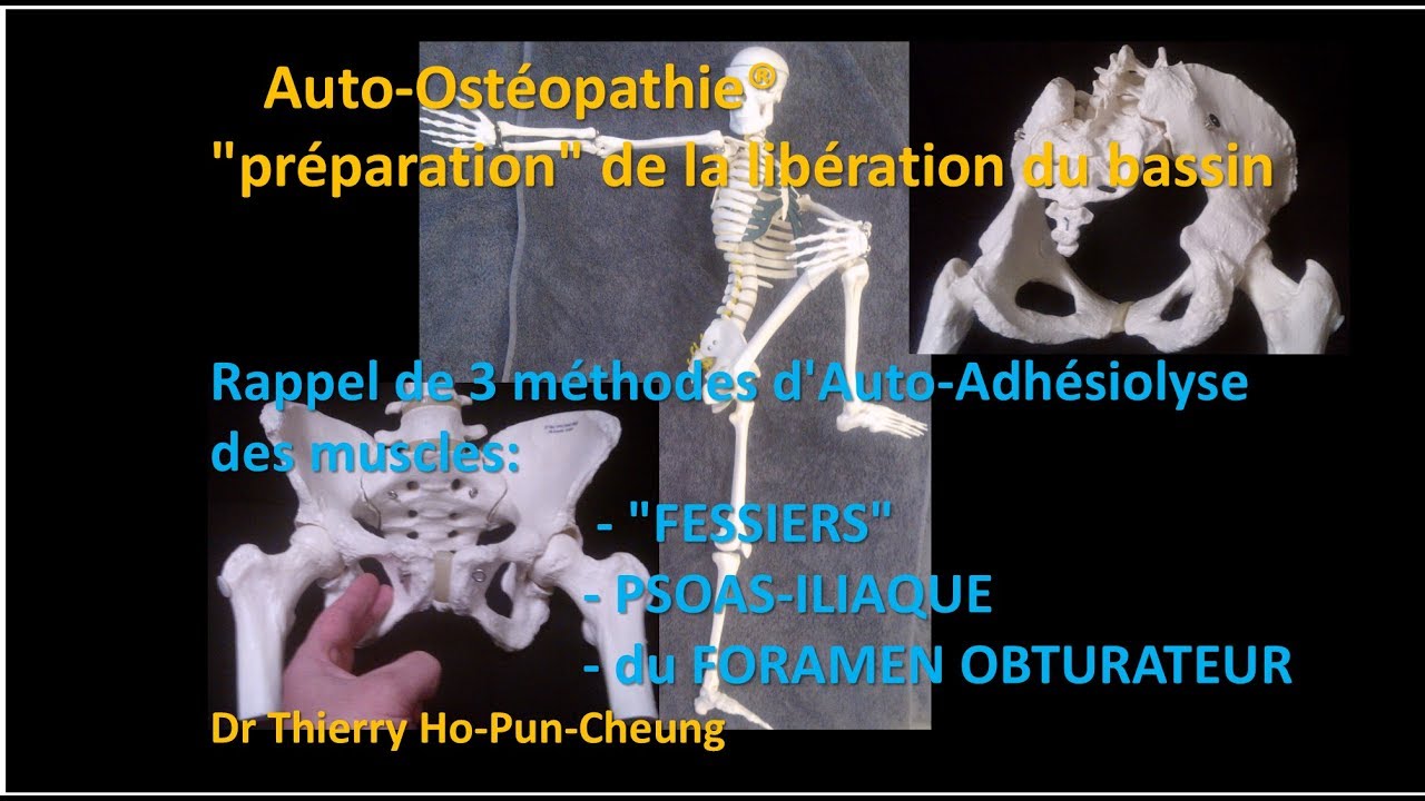 Auto-ostéopathie musculaire du Bassin : 3 manipulations facilitant sa libération ultérieure