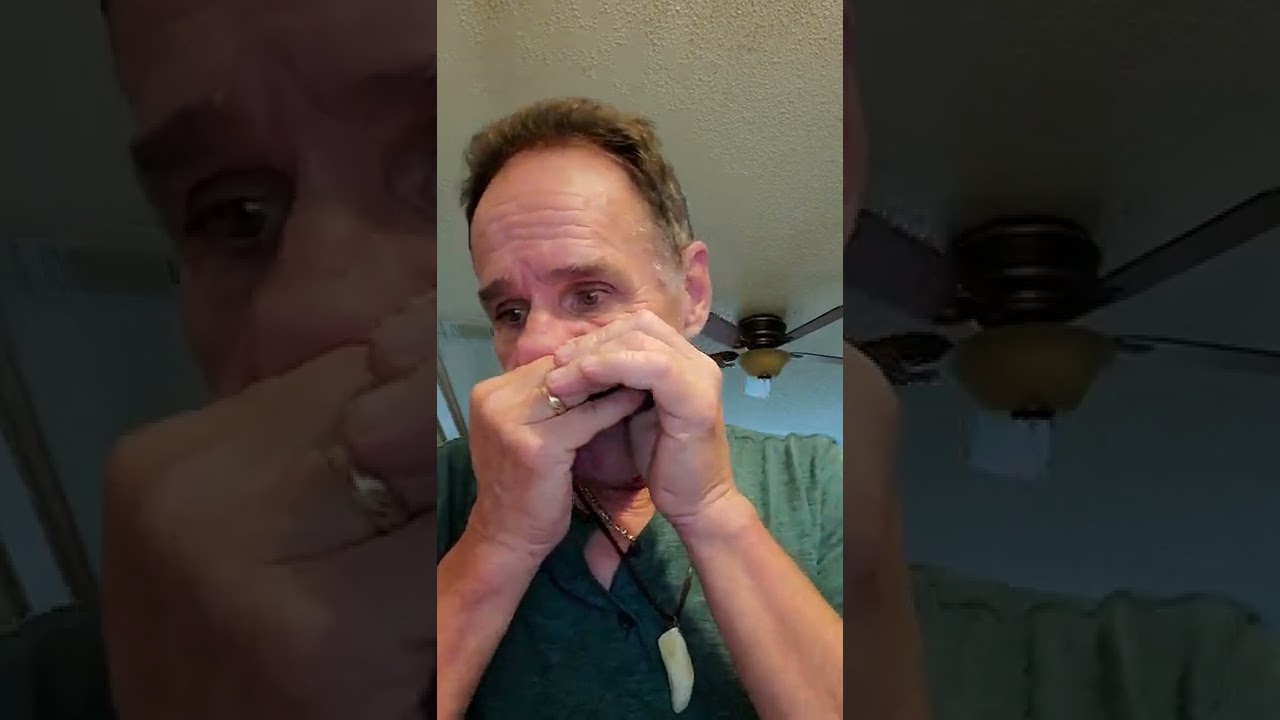 Practicing with my new Eb harmonica
